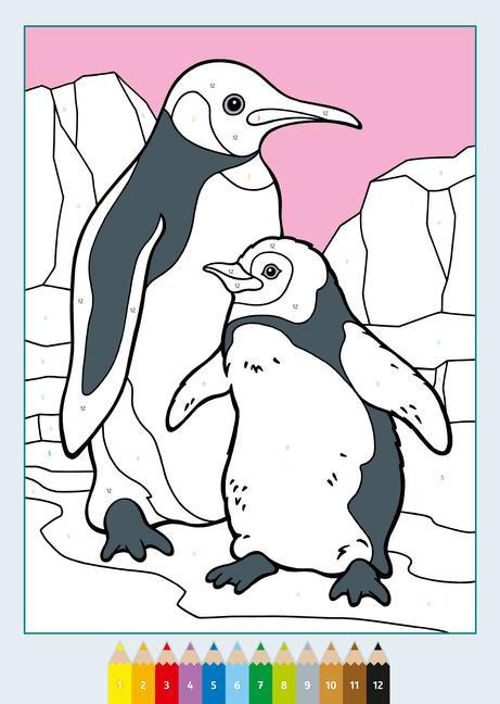 Ravensburger CreArt Malen nach Zahlen ab 5: Tierkinder, Malbuch, 24 Motive