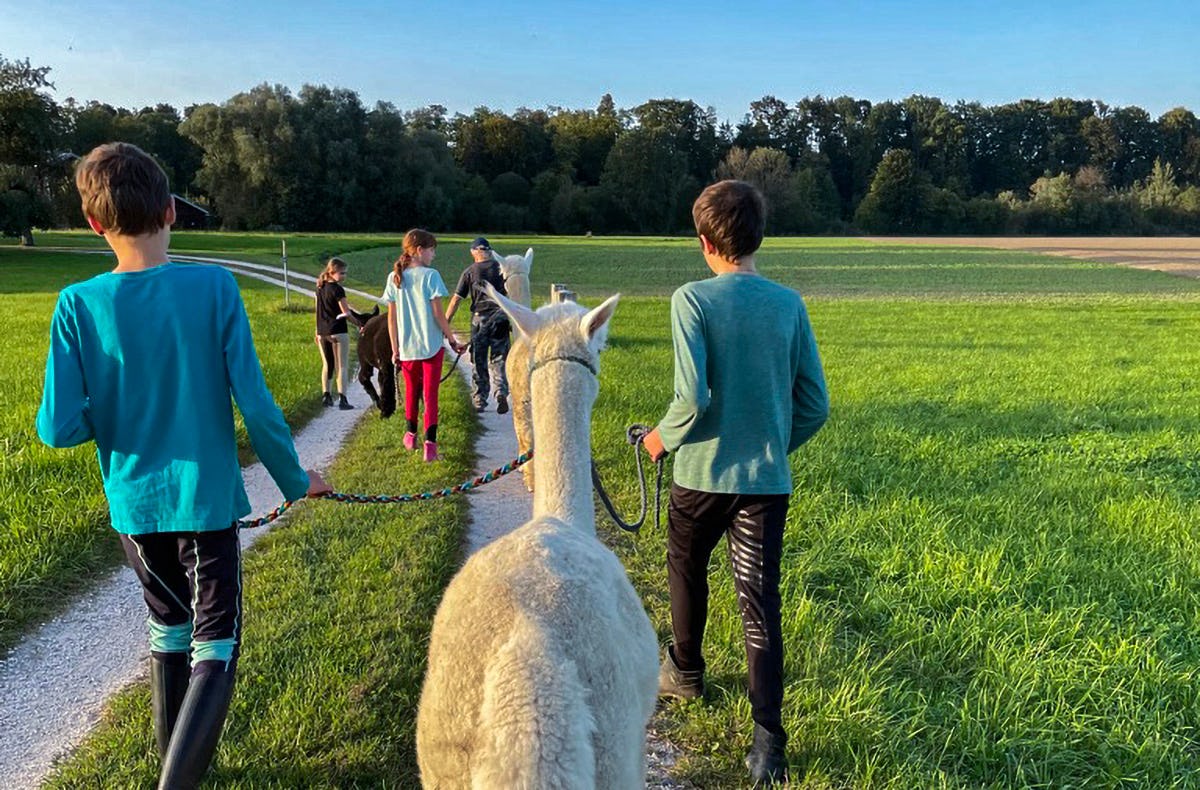 Alpaka Wanderung Taufkirchen
