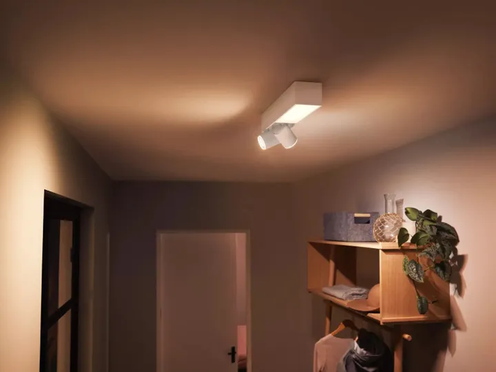Philips Hue White And Color Ambiance Centris Loftlampe