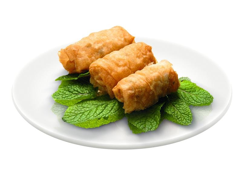 Tefal Fritteuse Mega 2 kg Fritteuse mit Antihaftbeschichtung und Kohlenstofffilter