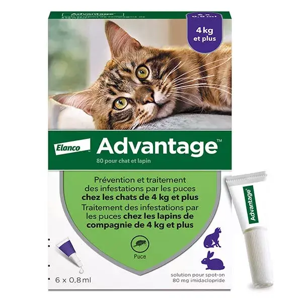 Advantage Solução Antipulgas para Gatos e Coelhos +4kg 6 pipetas