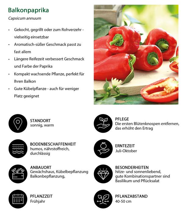 Balkonpaprika