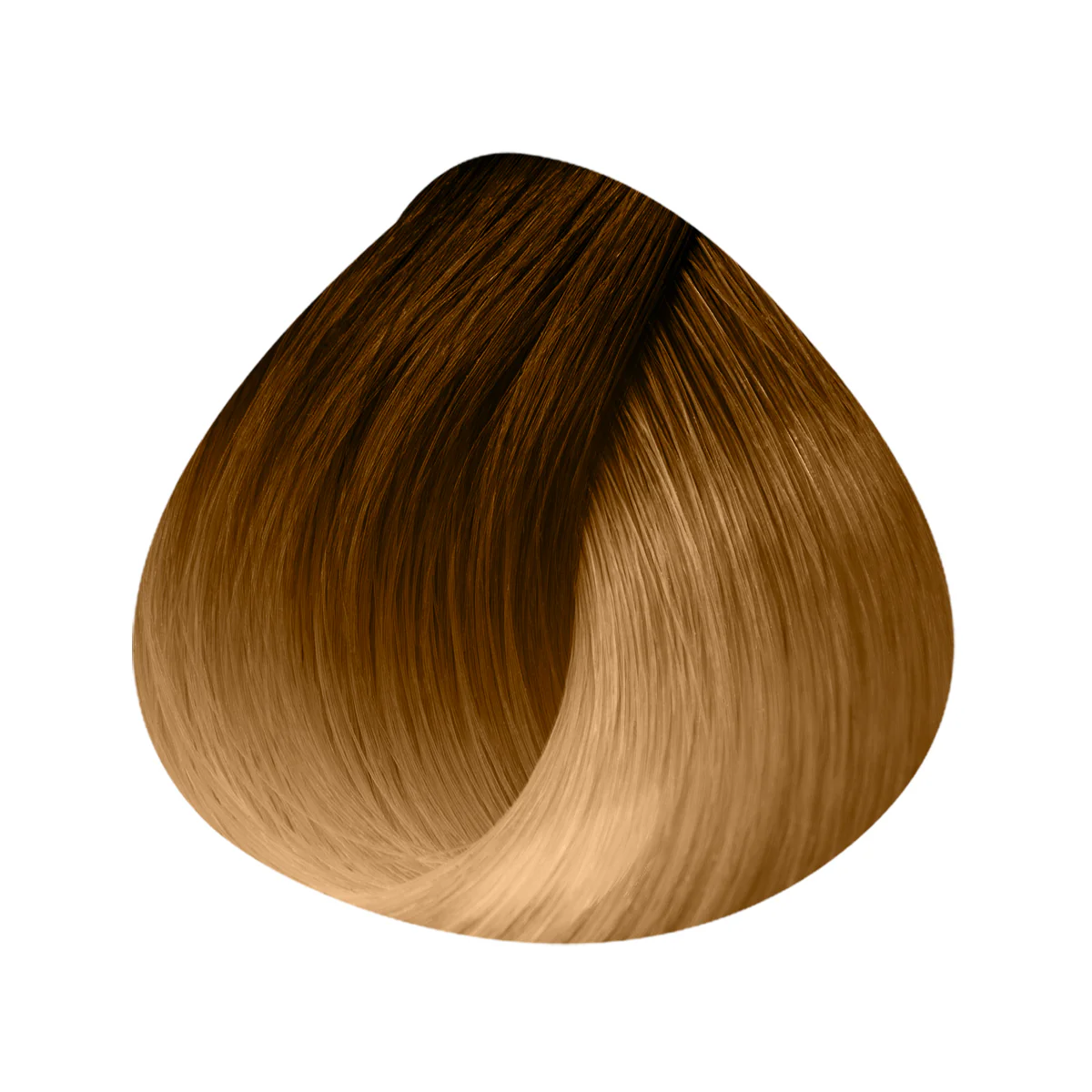 Extensions Anneaux Ombrées 10 Mèches 40/45cm