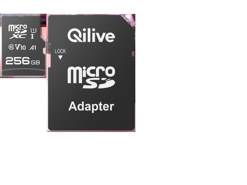 CARTÃO MEMÓRIA MSD QILIVE CL.10 UHS-I U1 V10 A1 256GB