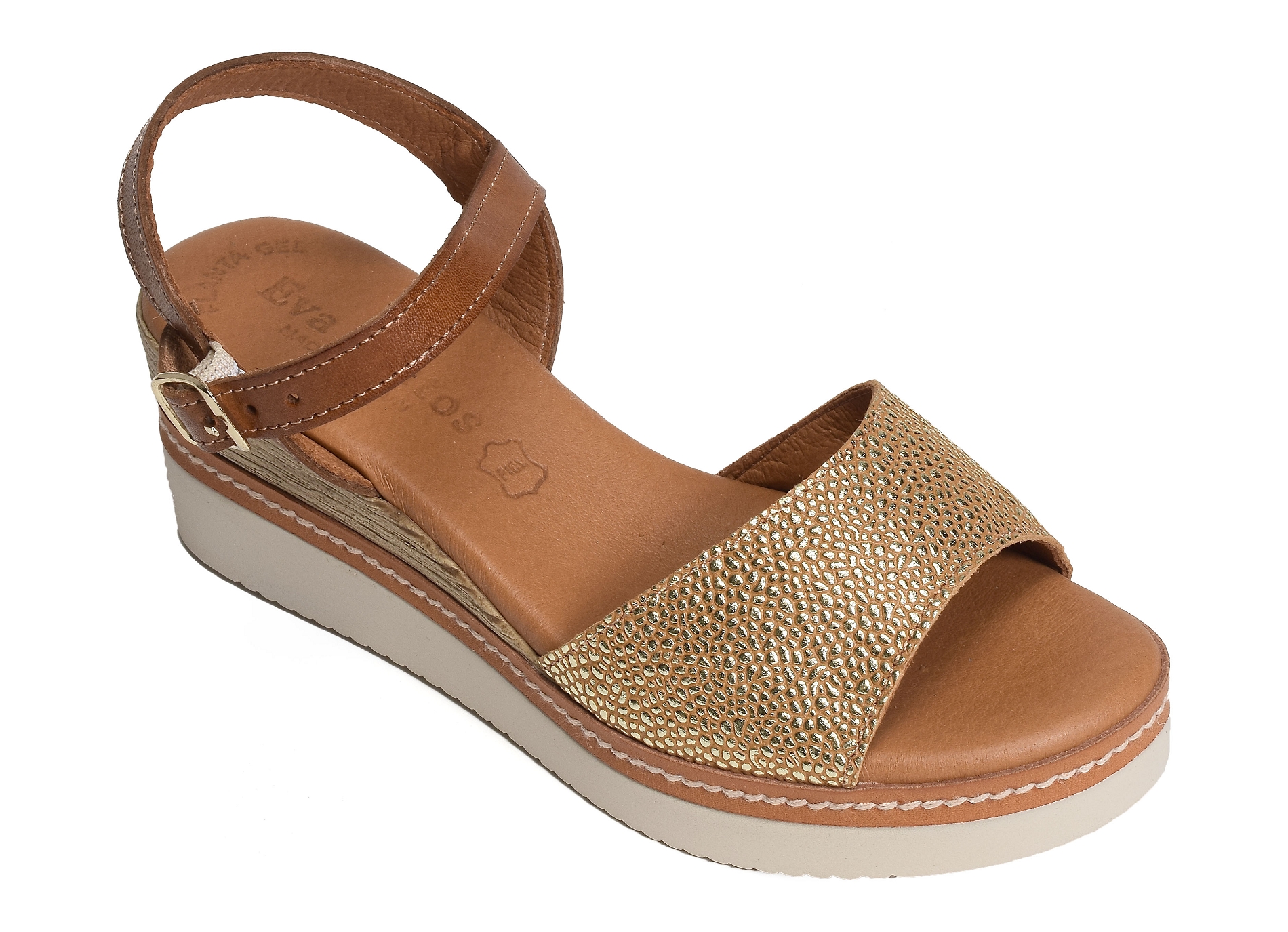 569 camel or