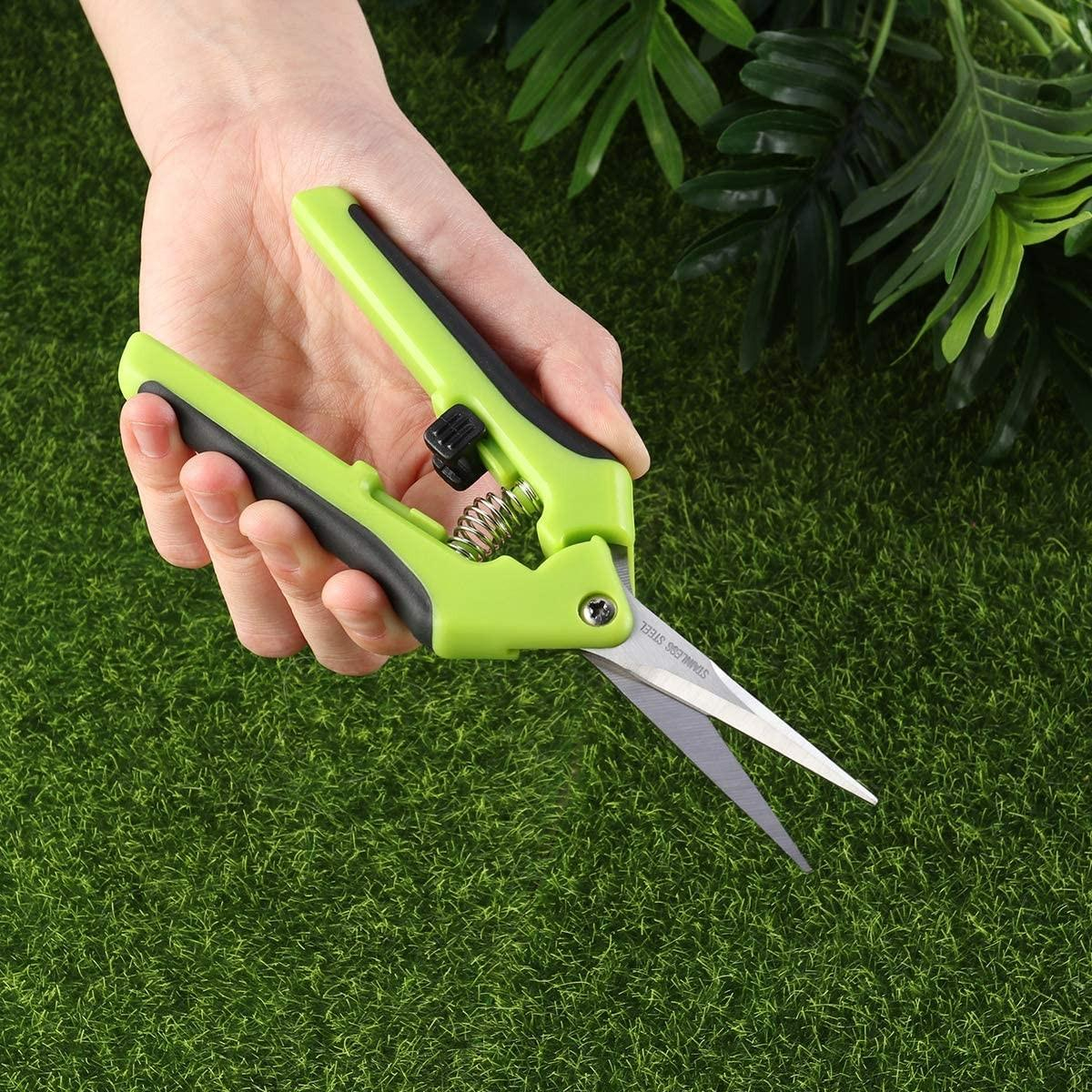Garten Formschnitt Blumen Schere Hecken Schneidewerkzeug - Grün