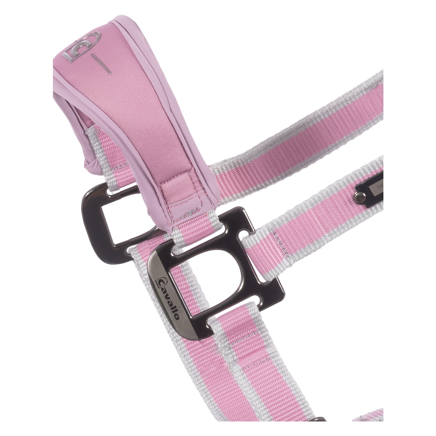 Cavallo Halfter CAVAL SOFTSHELL  - dusty rose - Pony