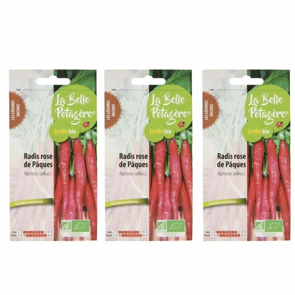 Graines à semer - radis rose de pâques - 9 g