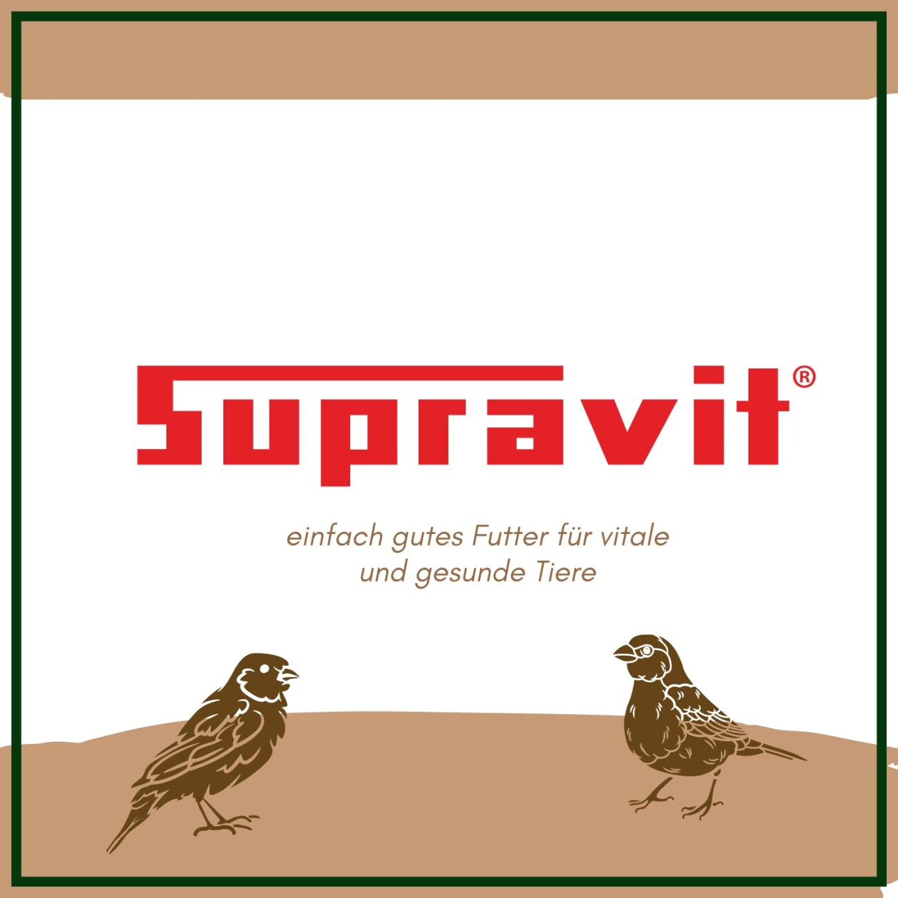 Supravit Spatzenfutter und Sperlingsfutter Vogelfutter mit Mehlwürmern | Energie und Proteinreiches Wildvogelfutter Ganzjahresfutter 5 kg