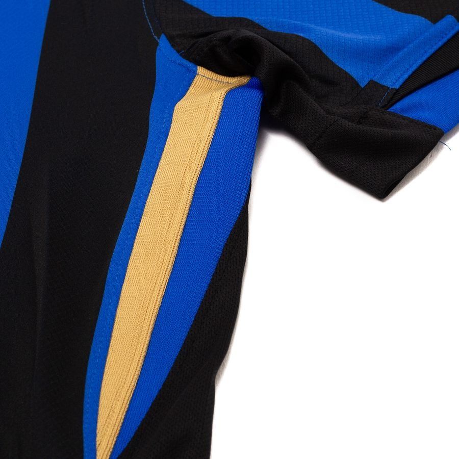 Inter Milan Maillot Domicile 2024/25
