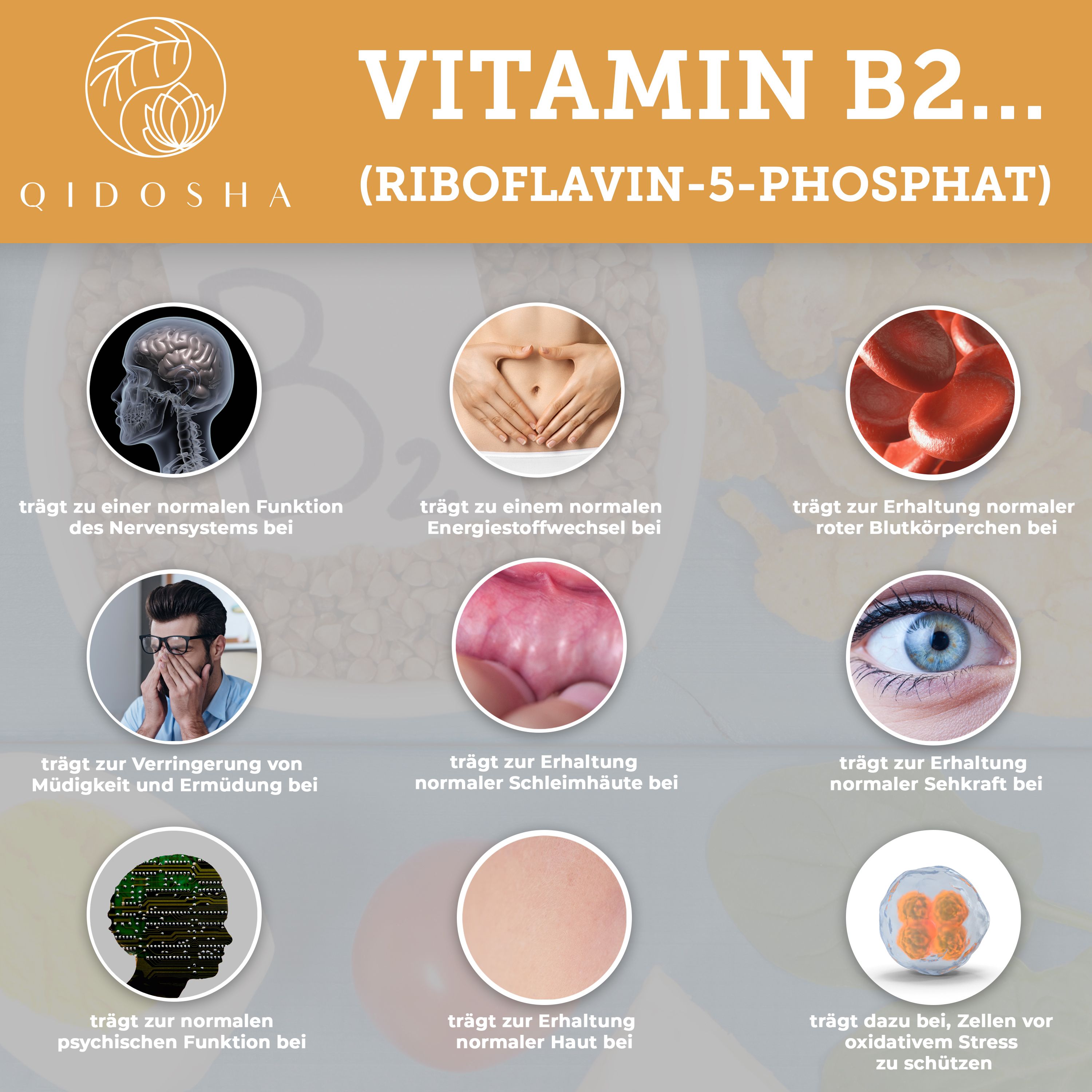 QIDOSHA Vitamin B Komplex bioaktiv mit Kofaktoren