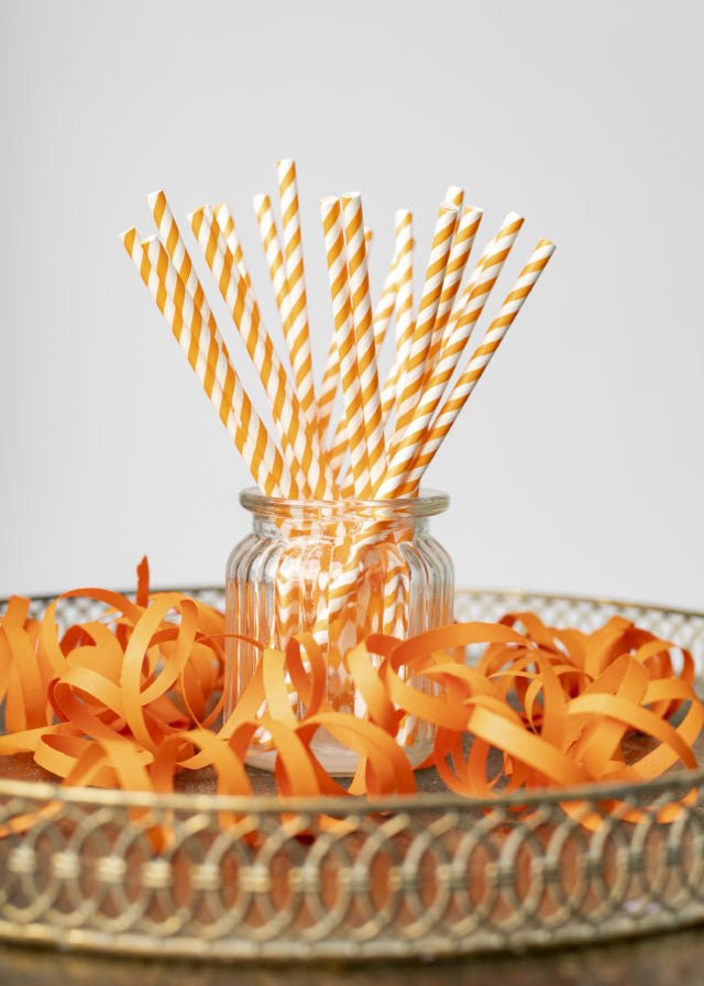 Papieren Rietjes Oranje Gestreept 19,7cm 20st