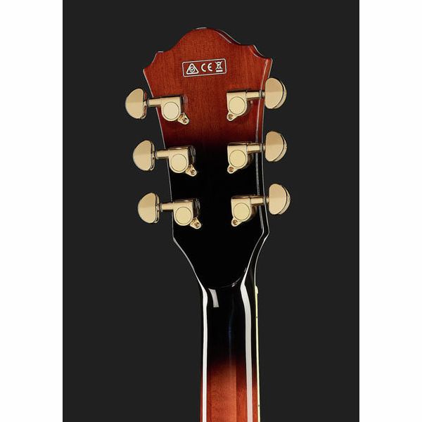Ibanez AG95QA-DBS