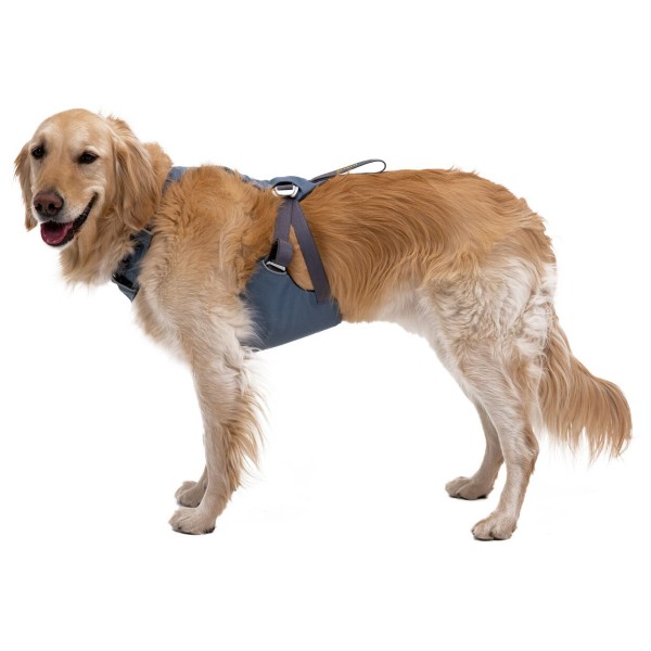 Ruffwear - Load Up Harness - Harnais pour chien