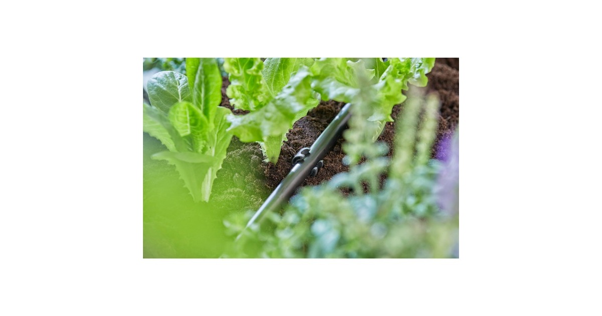 GARDENABuishouder 1/2