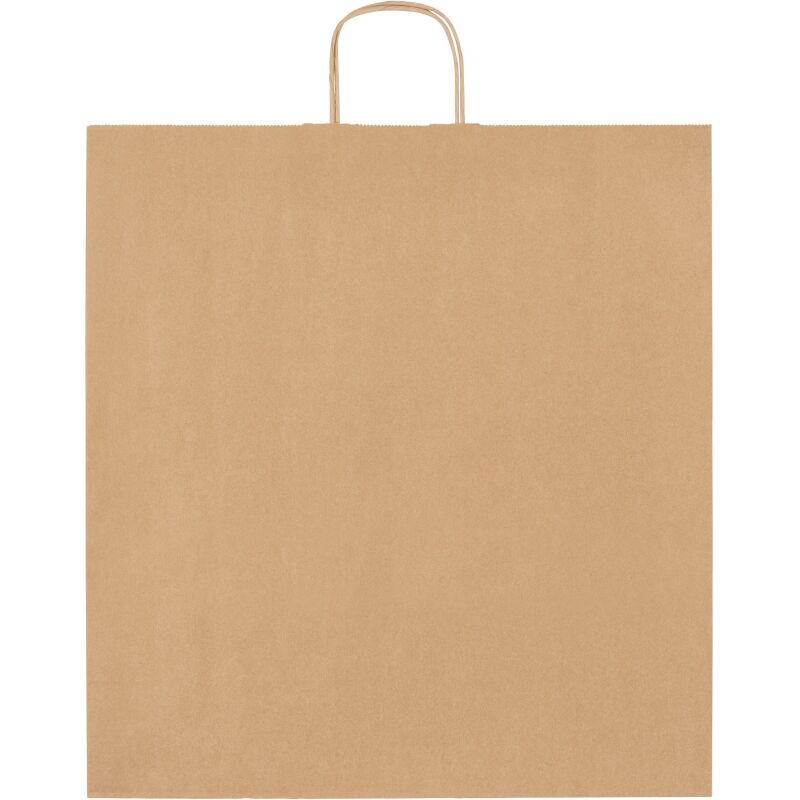Sacs kraft brun poignées torsadées 110 g/m² - 50 sacs
