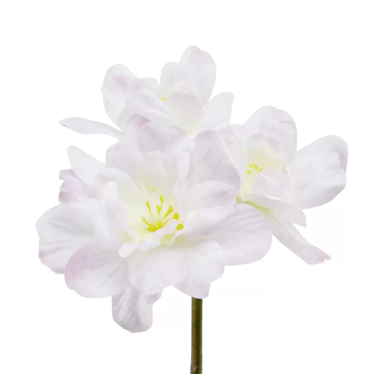 Kirschblütenzweig Ajlin Rosa