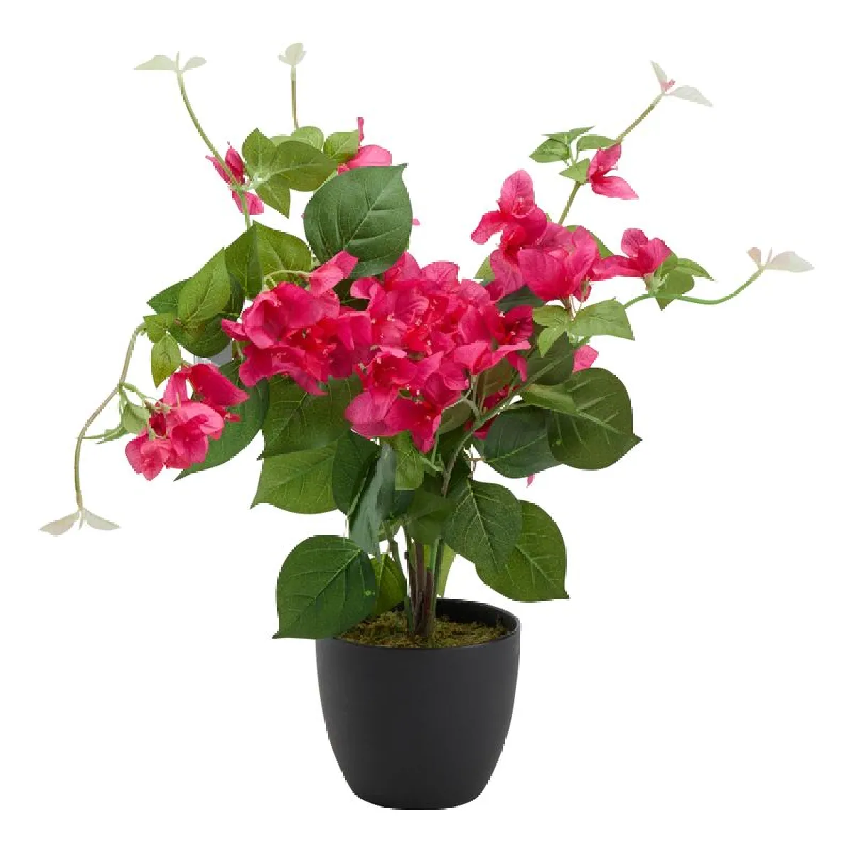 But Bougainvilliers artificiel 76 cm