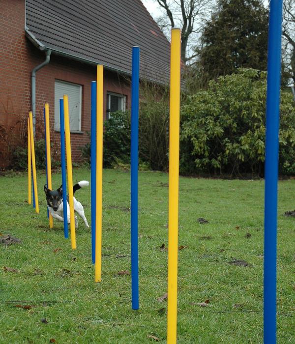 dobar® petlife Agility Slalom-Set, 12-teilig