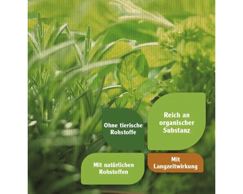 FloraSelf Nature BIORGA biologische kruidenmeststof 0,5 kg veganistisch