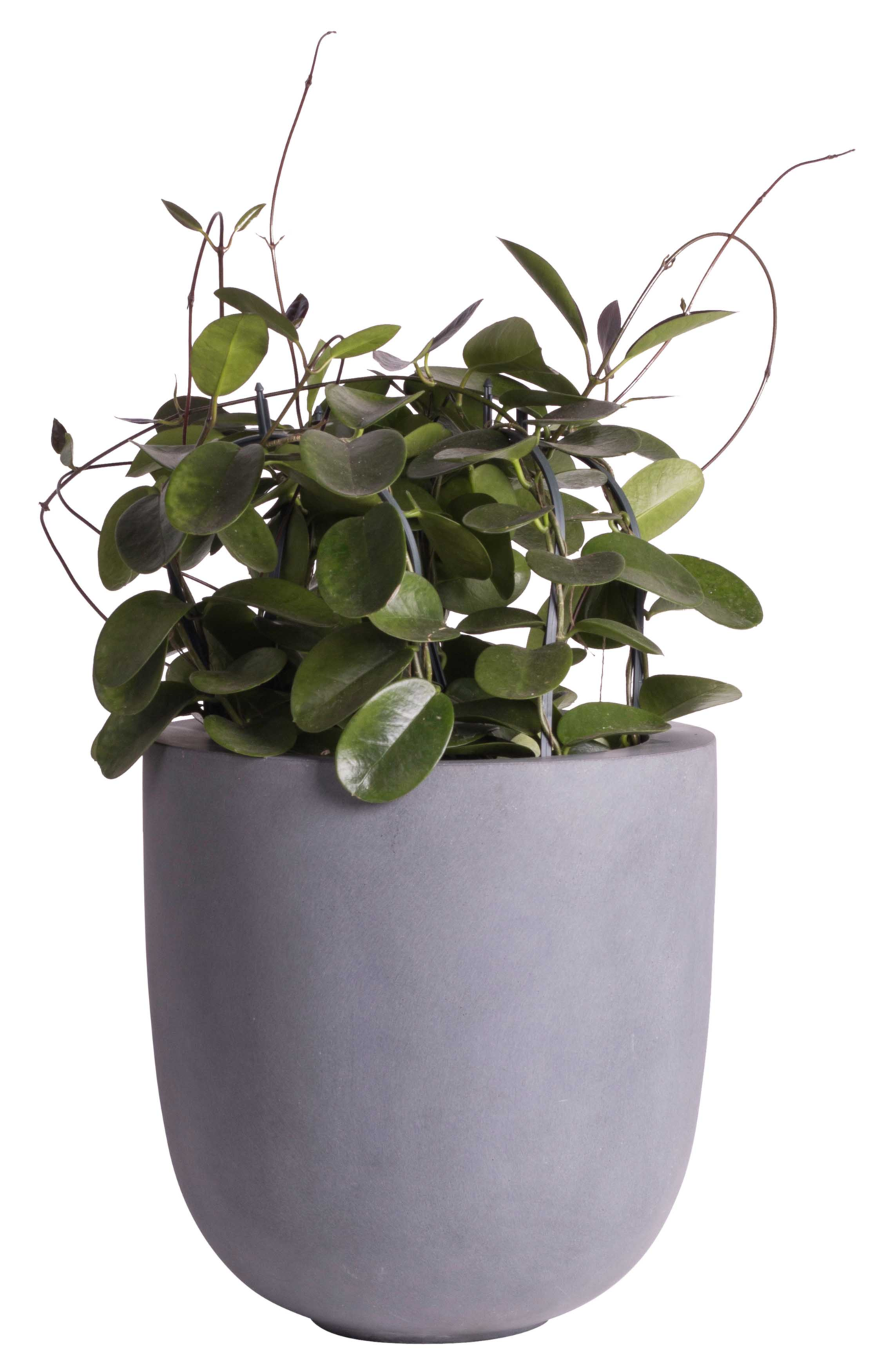Plantenpot Ducos big grey Ø33 x H35 cm