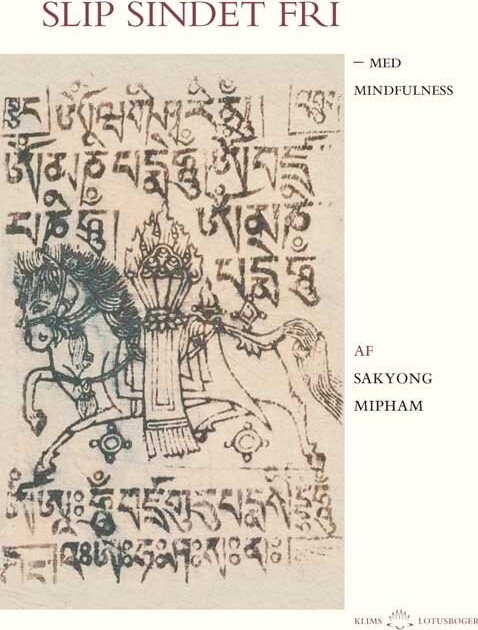 Slip Sindet Fri - Sakyong Mipham - Bog