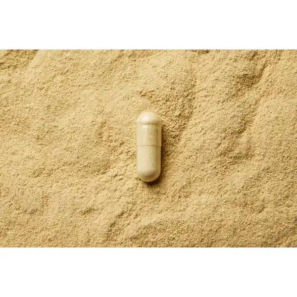 Bio Ashwagandha Kapseln