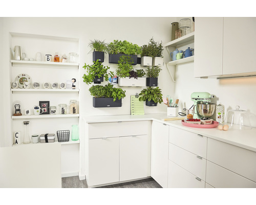 Lechuza Cube Color Green Wall bloempot, 14 cm hoog, grijs kunststof, inclusief houder, waterniveau-indicator, zelfbewateringssysteem en plantenbak