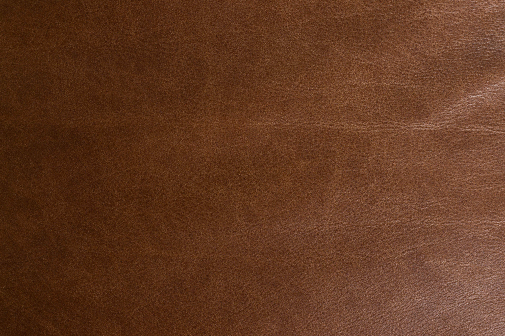 Sofa Douglas Wax Leather Chocolate