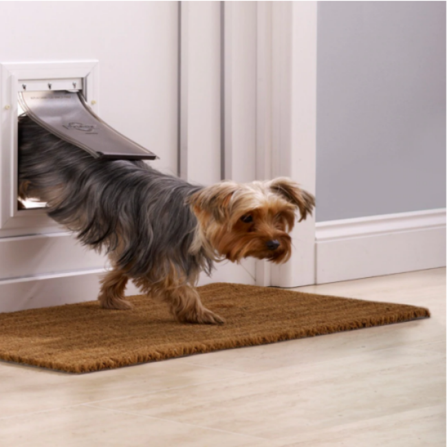 Porte Staywell Petsafe grand modèle en aluminium pour chien