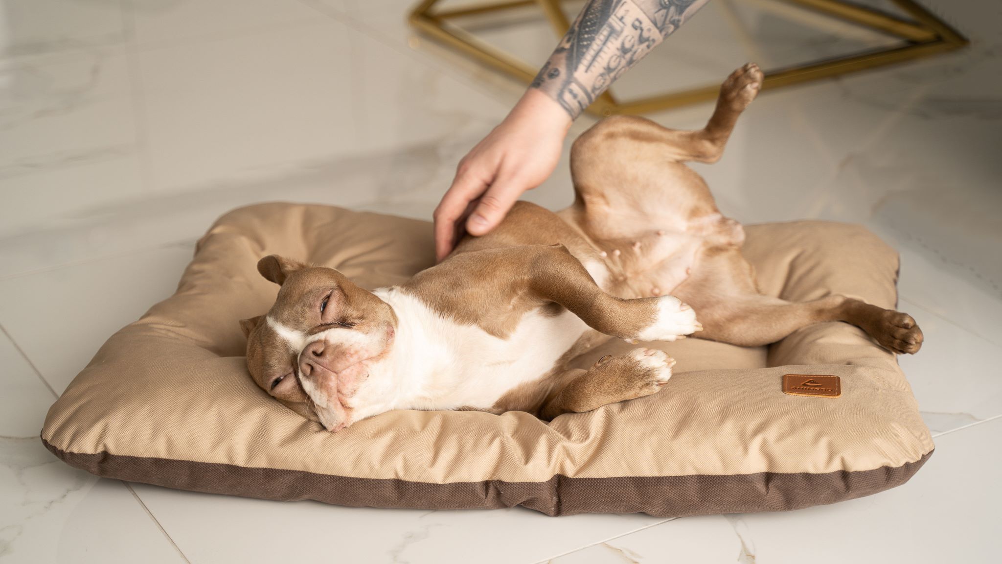 Animood Hundebett-Kissen Mort cappuccino L Tierbett Tiersofa