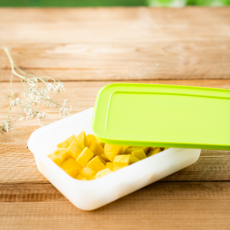 Eiskristall 1 l Flacher Gefrierbehälter für längliche Lebensmittel wie Möhren, Hähnchenschenkel und vieles mehr