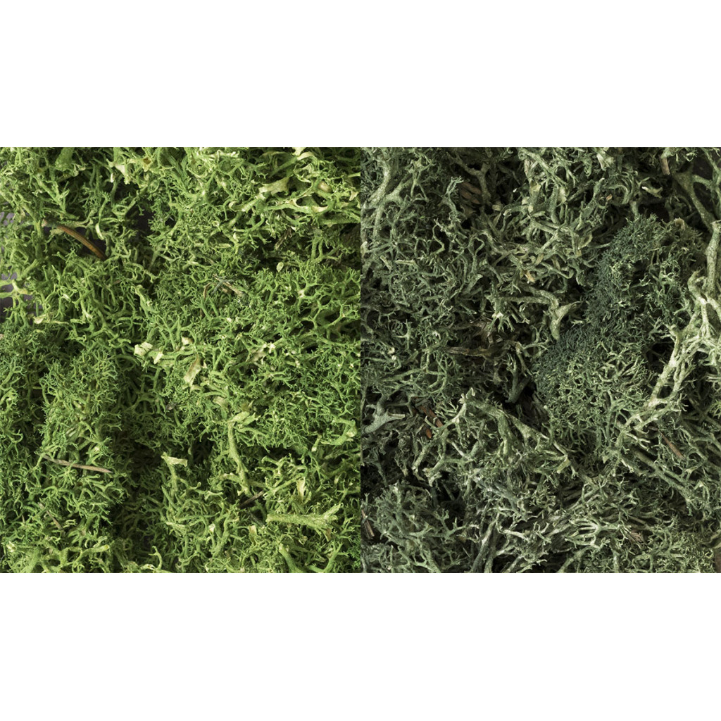 Woodland Scenics - Lichen Mix