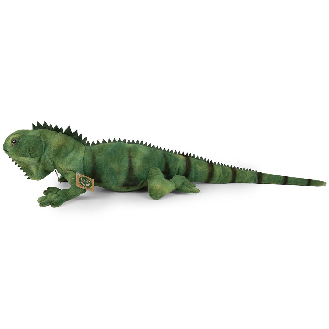 rappa knuffelleguaan groen - 70 cm
