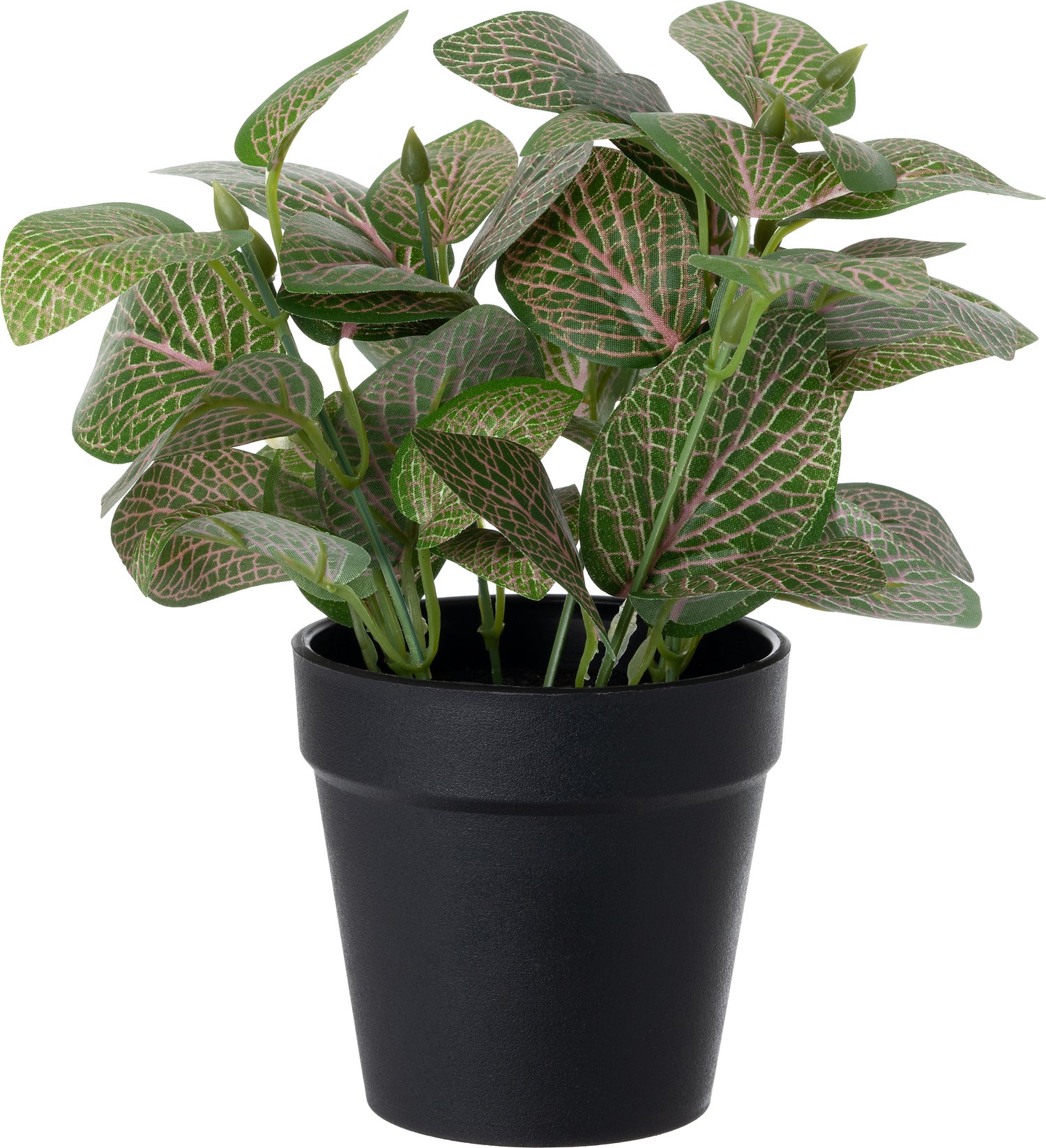 Intratuin kunstplant Fittonia 15 x 15 x 19 cm