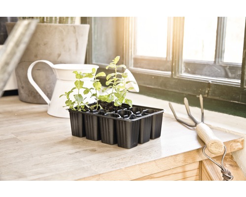FloraSelf Nen zaailingpotten 18x14x5 cm, 4 planttrays x 12 plantopties = 48 zaailingpotten