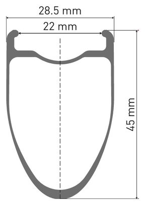 Roue Arrière DT Swiss ERC 1100 Dicut DB 45 | 12x142mm | Centerlock