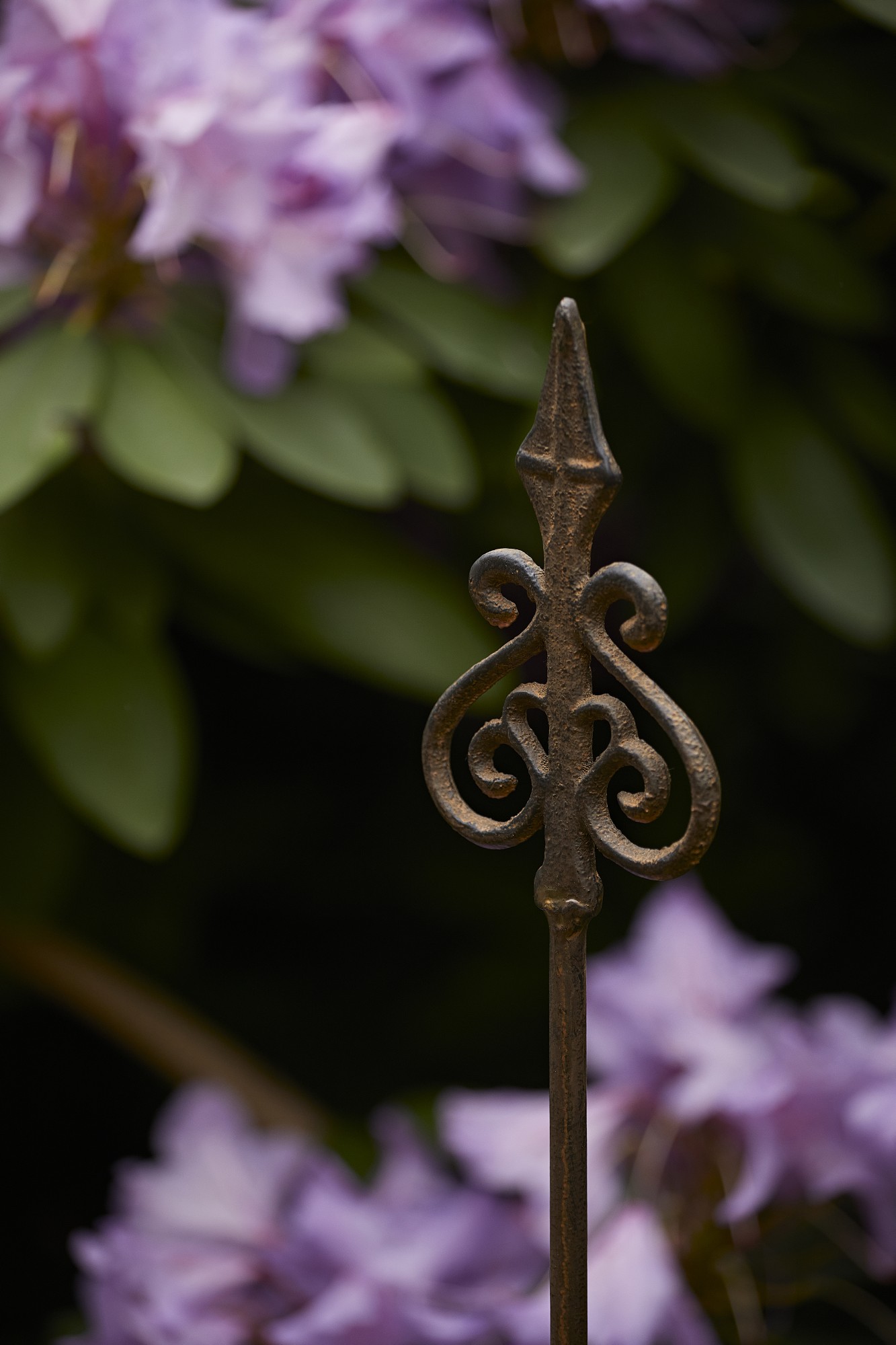 Gartenstecker 'Lilie', T 1 cm, B 8,5 cm, H 110 cm günstig bestellen