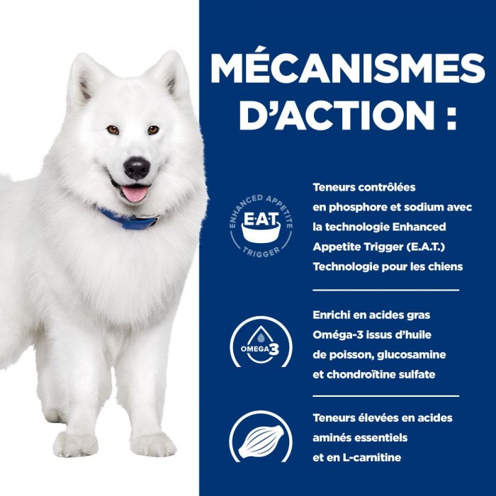 HILL'S Prescription Diet k/d j/d Kidney + Mobility - Croquettes pour chien