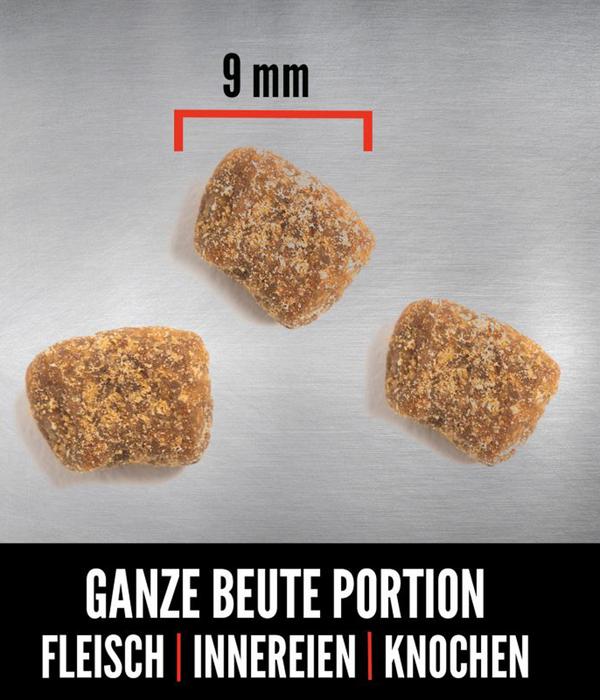 ORIJEN™ Trockenfutter für Hunde Small Breed
