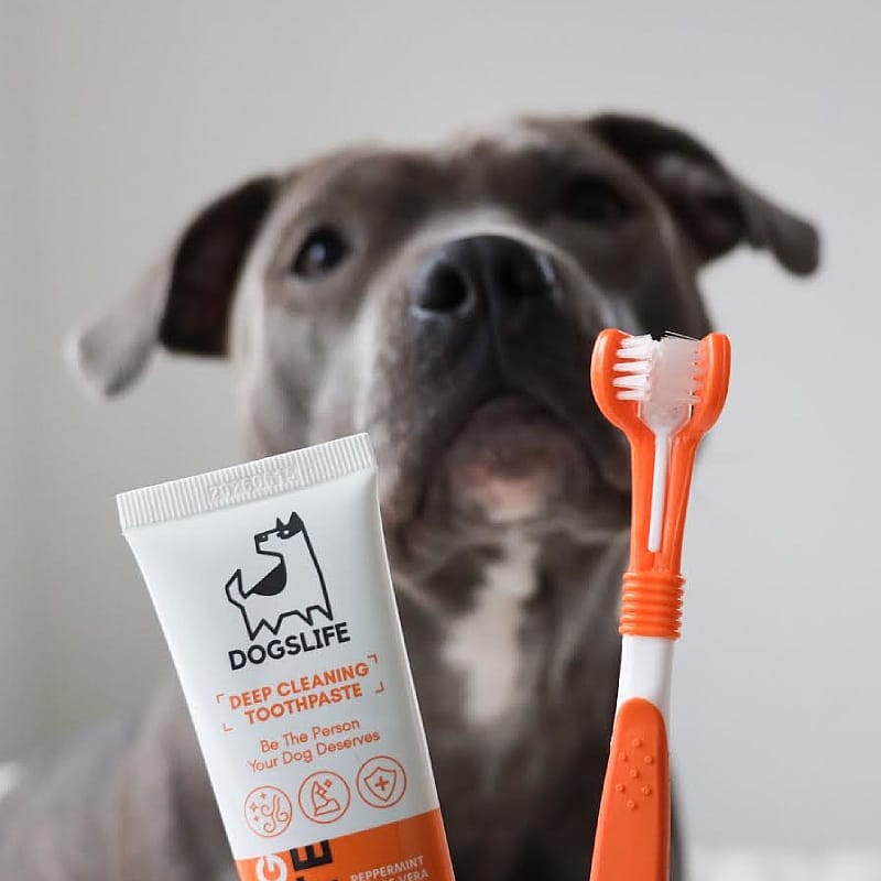 OurDogsLife Dental Kit Hond | 13001