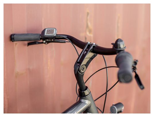 Vélo de Ville Électrique Trek District  1 400Wh Shimano Nexus 7V Lithium Grey 2022