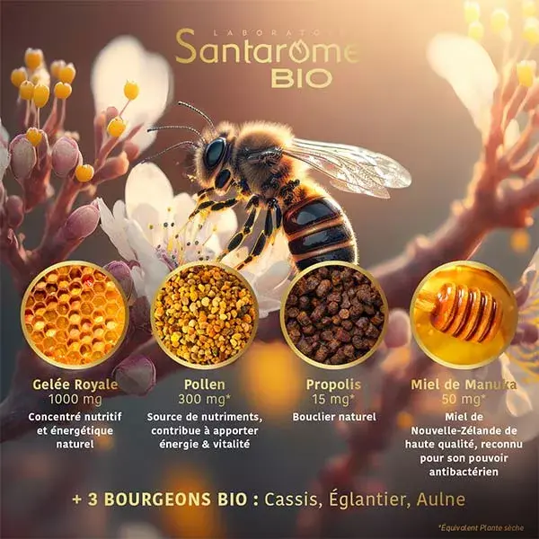 Santarome Orgânico - Geleia Real, Pólen, Própolis, Mel de Manuka Orgânico - 20 ampolas