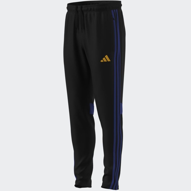 adidas Performance Trainingshose »TIRO ES PNT«