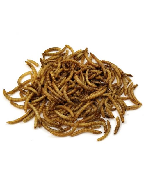 Tijssen Meelwormen - Kippenvoer - 5 kg