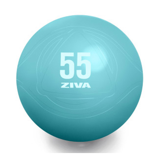 Fitball Ziva Chic 75 cm