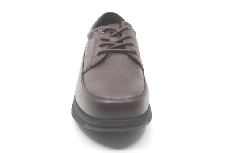 MBT NEVADA M BROWN Bruin (22F)