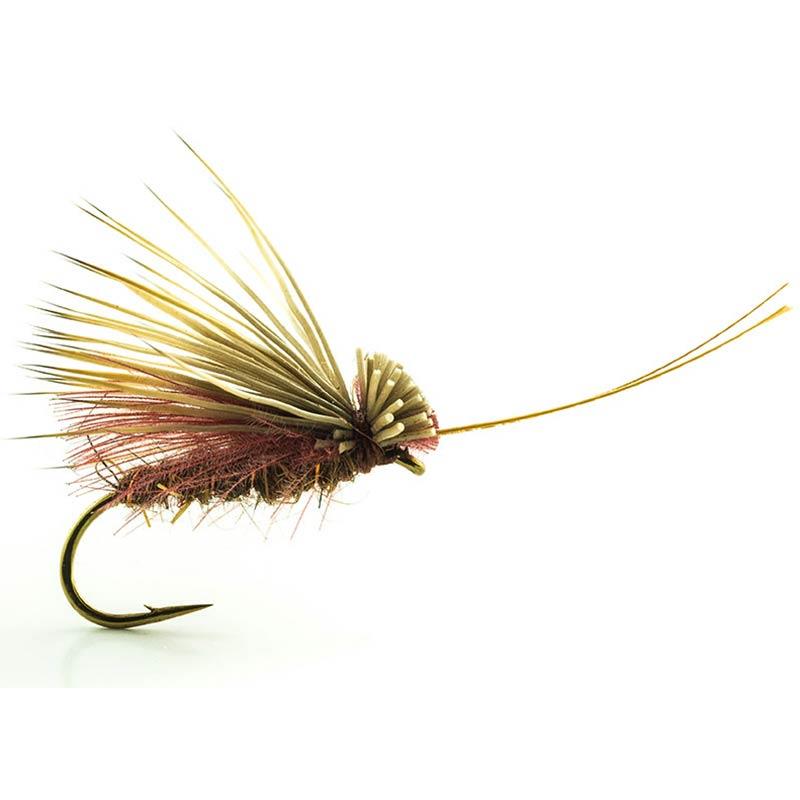Mouche Devaux Sedge Tricoptheres Elk Cdc 04 Bl