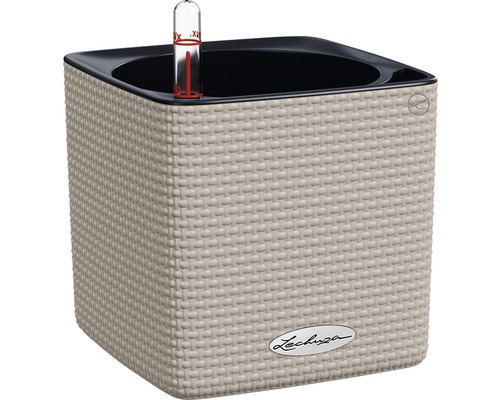 Lechuza Cube Color kunststof bloempot, 14x14x14 cm, zandbruin, inclusief zelfbewateringssysteem en waterniveau-indicator