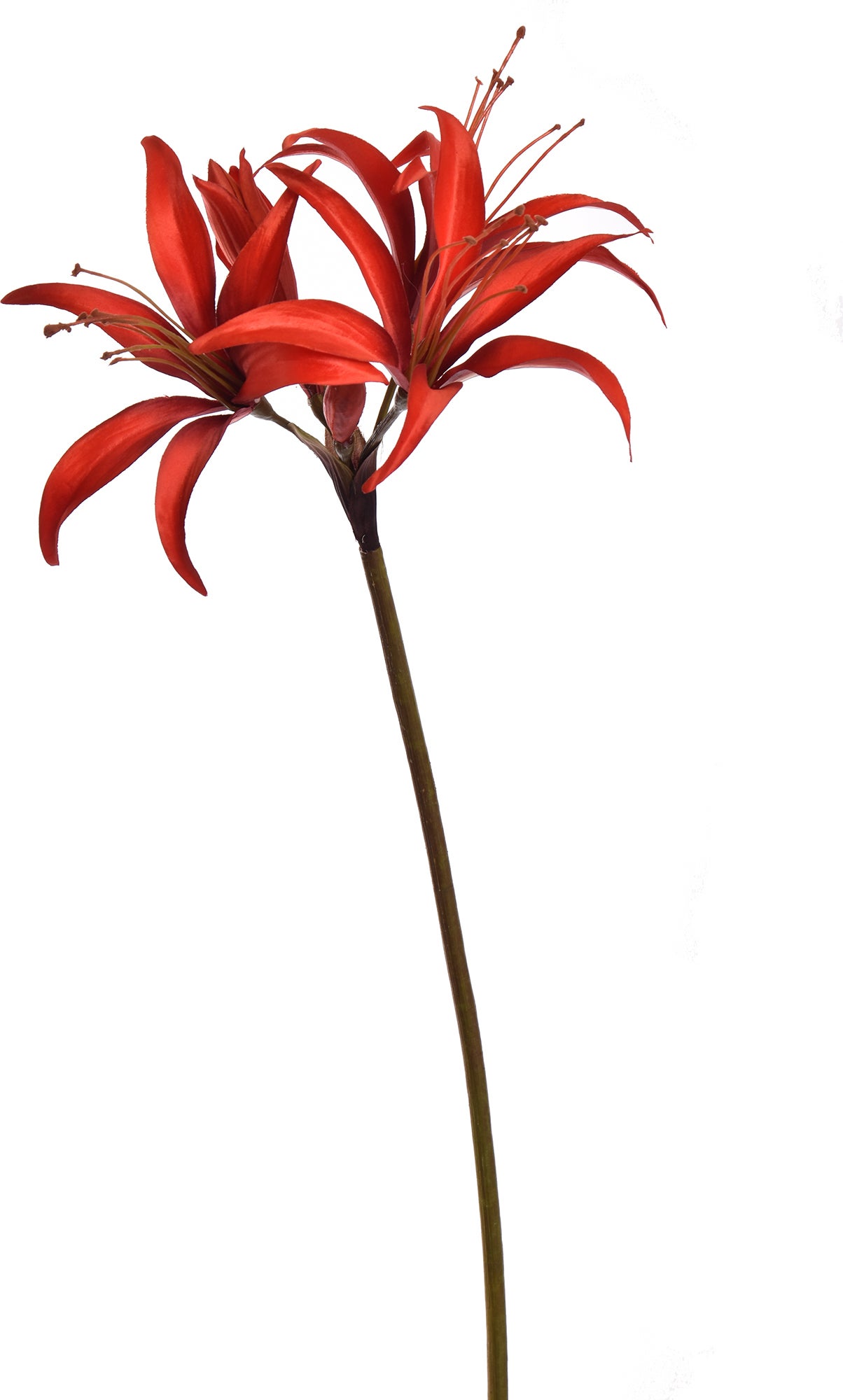 Jasaco PURE kunstbloem Amaryllis rood 80 cm